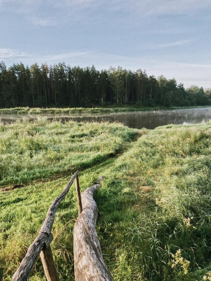 "Gaujmale" Sauna House In Nature Ilkene Exterior photo